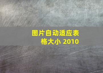 图片自动适应表格大小 2010